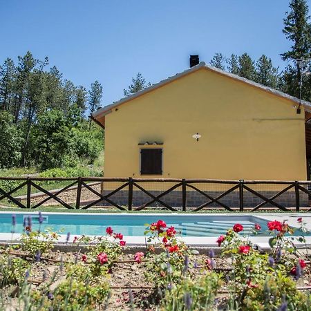 Vila Il Ginepro Cortona Exteriér fotografie
