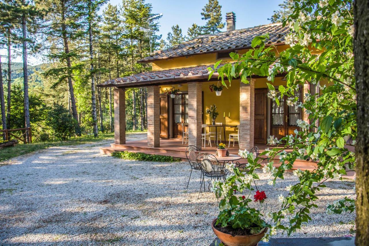 Vila Il Ginepro Cortona Exteriér fotografie